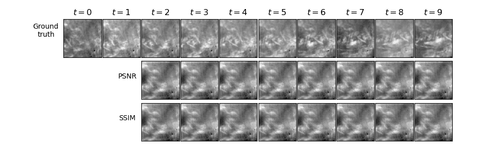 Generated video frames from the model.